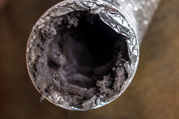 Best HVAC Air Duct Cleaning  in Frankfort, IN